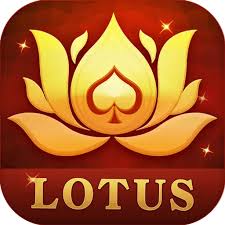 teen patti tycoon apk download download